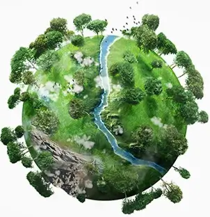 Herbaryum Numune Bul